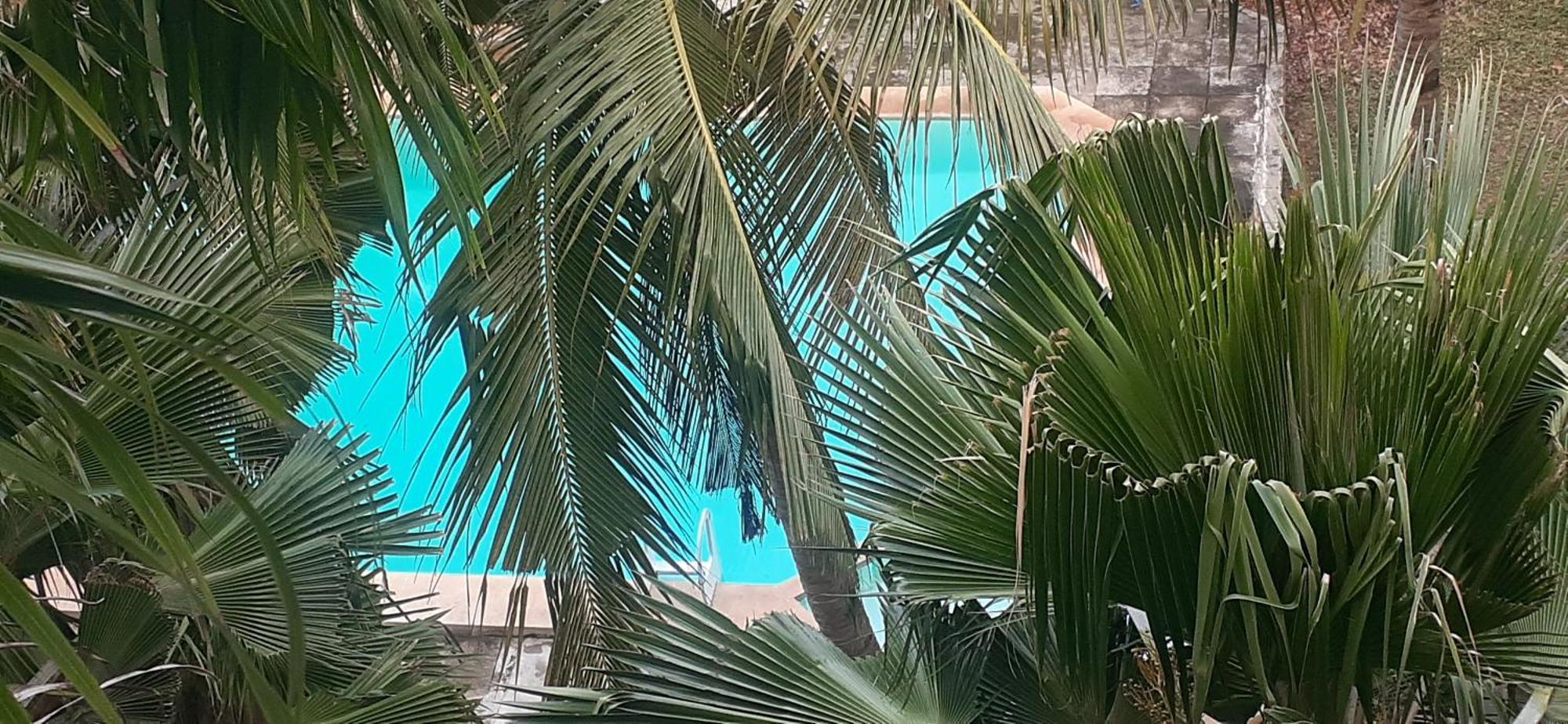 Accommodatie bij particulieren Coral Haven Homestay-nyali *